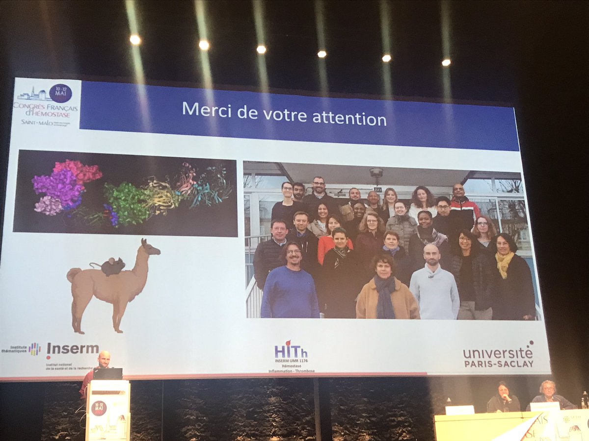 caterina casari tweet media