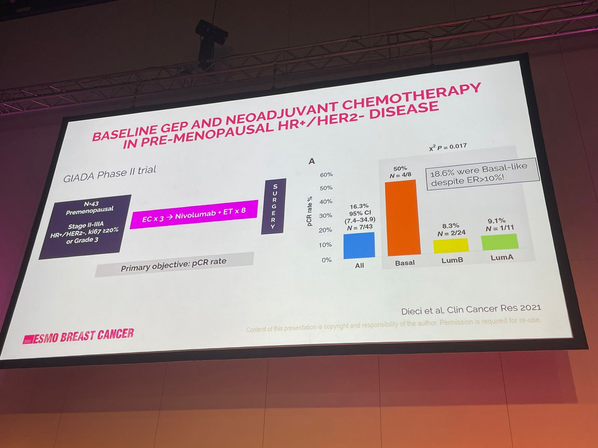 Benedetta Conte tweet media