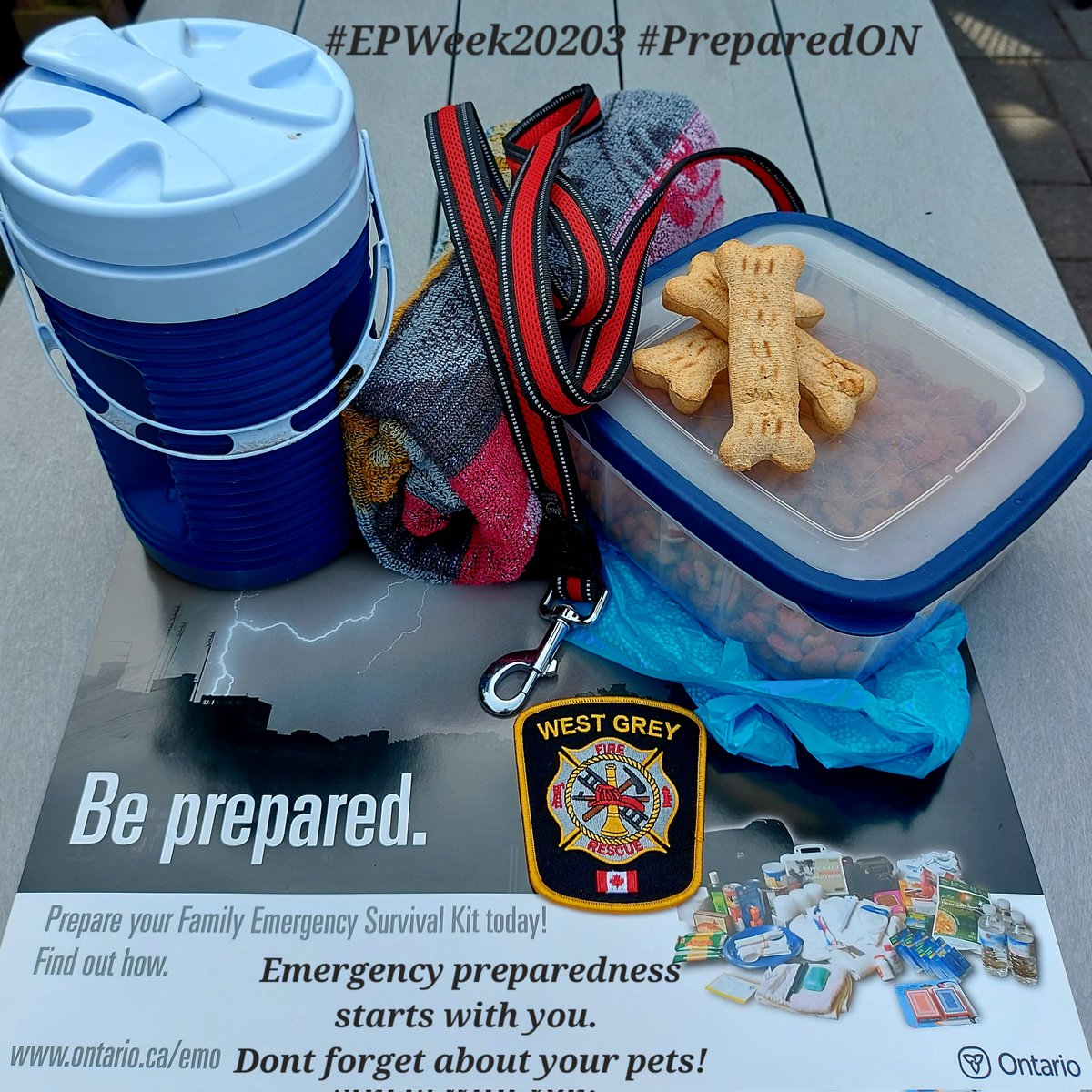 It's #EPWeek2023 
When preparing your Emergency Kit, don't forget about your pets 🐶🐱
Ensure you, your family and pets have supplies for 72hours.
Be Prepared, Not Scared 
#PreparedON 
@OurWestGrey 
@DundalkFire you're up #GreyCountyChiefsChallenge