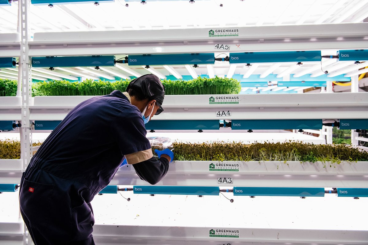 "We won’t draw down city resources, talent, and money without giving back just as much or more - in resources, good jobs, and economic drive."
Read our latest blog: Additive, Not Extractive: How Vertical Farming Fits into the Future of Agriculture
bit.ly/3pyz7sA
#Detroit