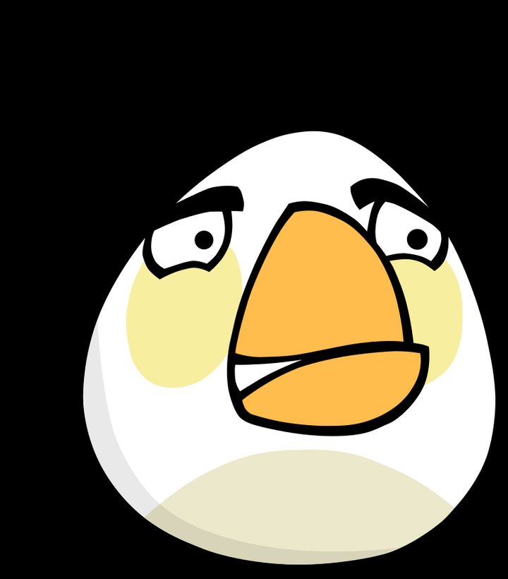 fizzystraws's tweet photo. reminder that theres been a trans bird the entire time https://t.co/NFHSECb6nd