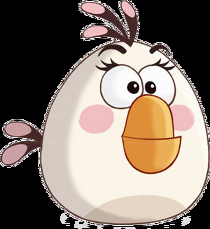 fizzystraws's tweet photo. reminder that theres been a trans bird the entire time https://t.co/NFHSECb6nd