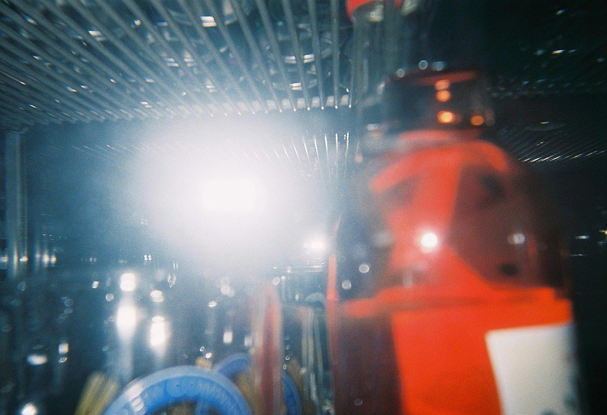 『 Shonai Night 』

今月末が楽しみ。

2023.05.11

#フィルムカメラ