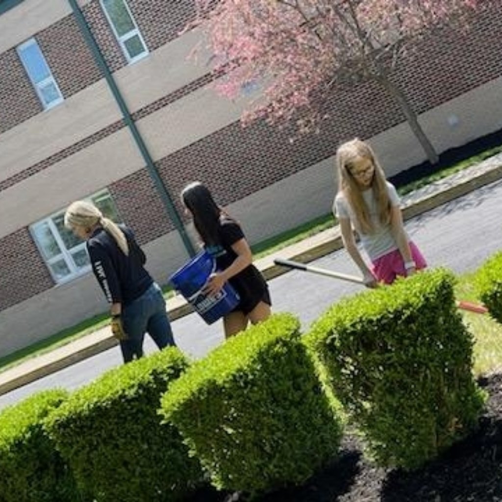 VanBurenSchools's tweet photo. What a beautiful day to complete our community service!  Our Medieval Garden looks amazing. Thank you United Way of Hancock County for your help today!  #beablackknight #daysofgiving https://t.co/zP8GojQadN