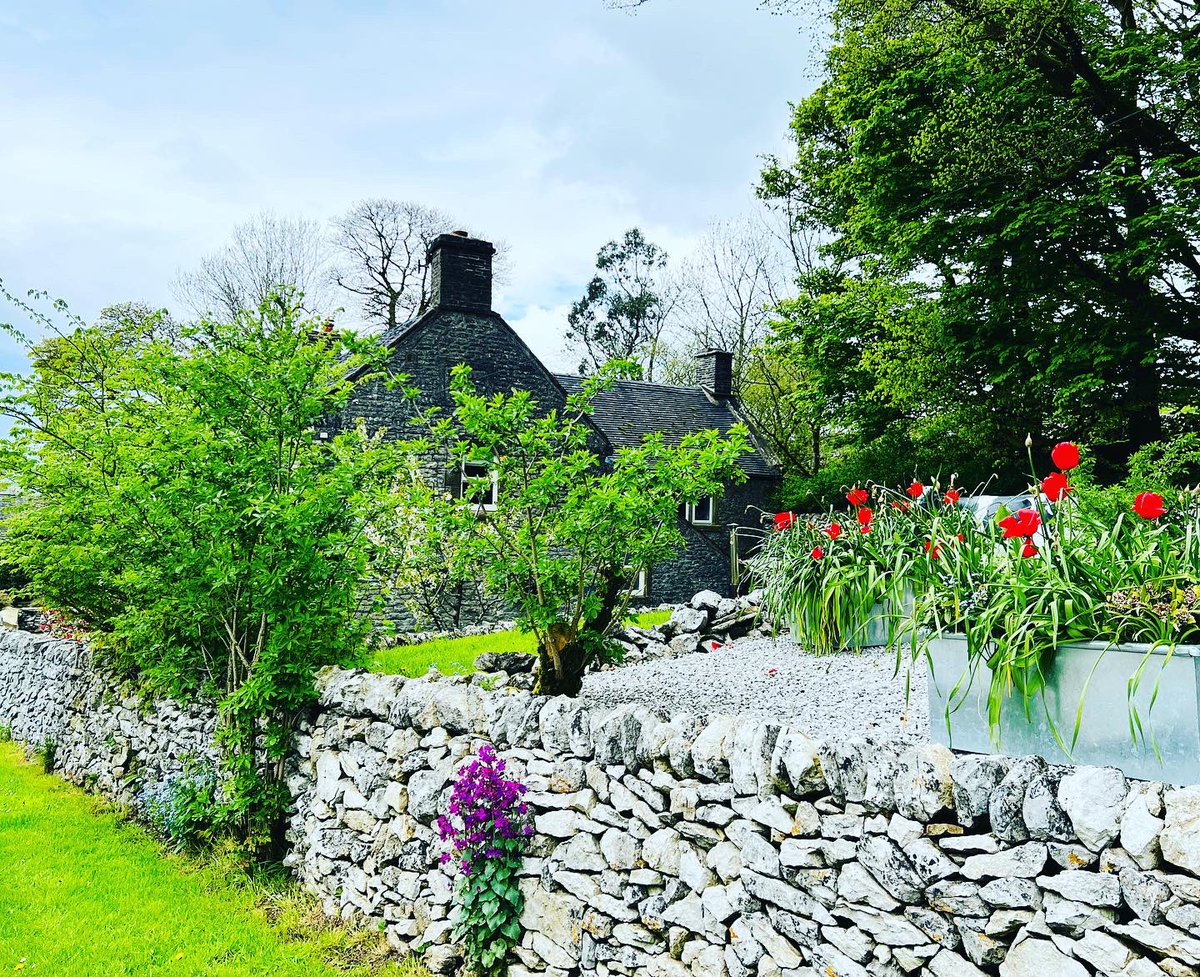 One benefit of rain (and we’ve seen a lot recently) is everything is green and lush. Take the wins this Thursday…