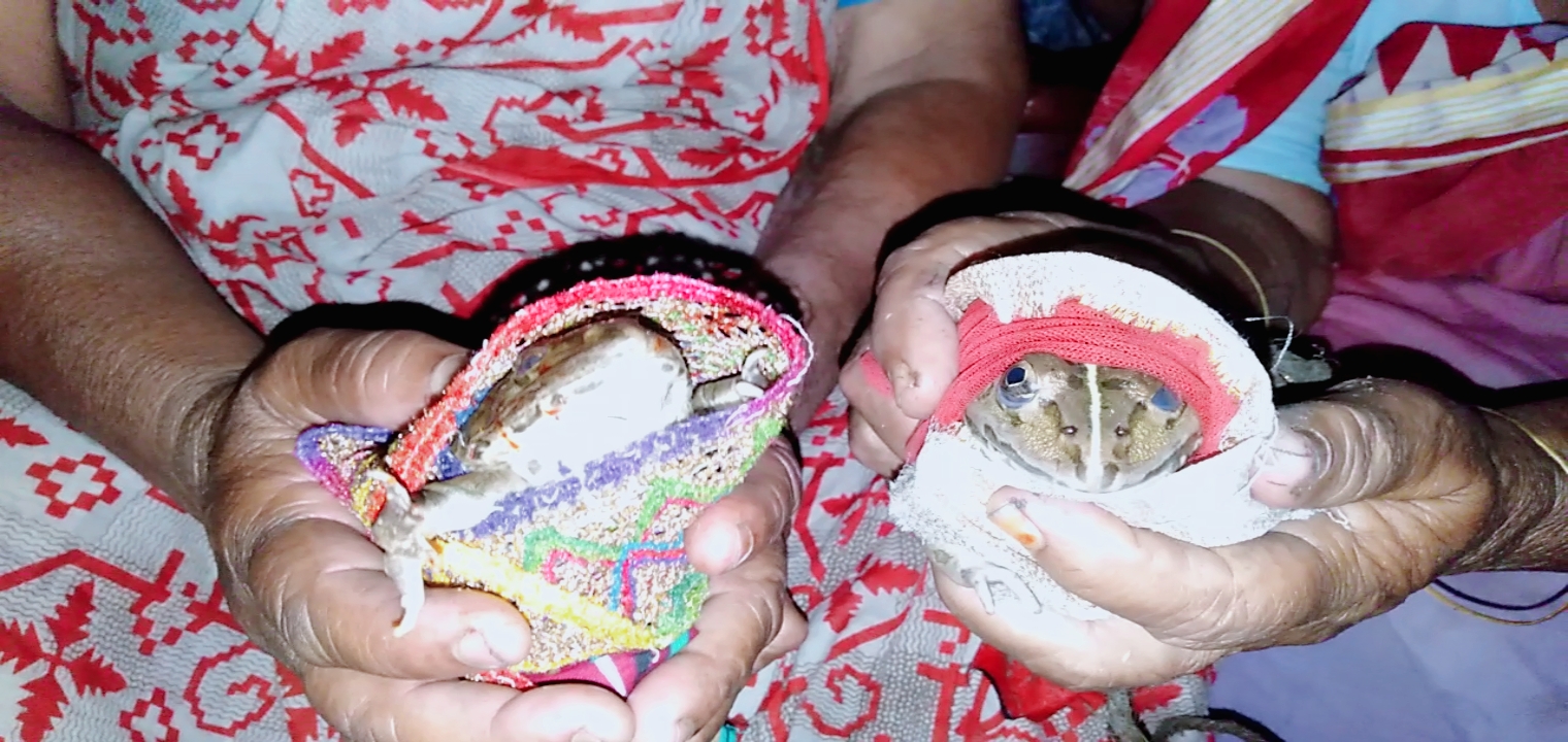 সিজার করার পর পেটে গজ ও সুই: ভুল চিকিৎসায় মৃত্যুর সাথে পাঞ্জা লড়ছেন গৃহবধূ