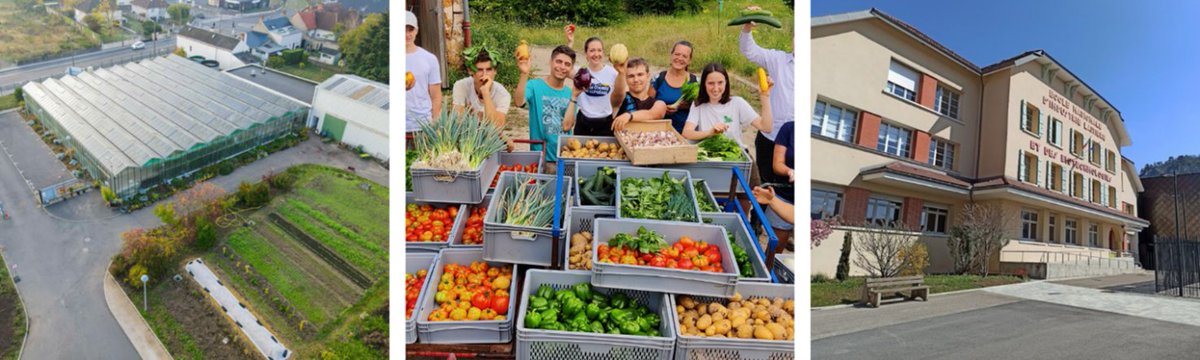La découverte et la diversité des métiers seront au cœur des prochaines Journées Nationales de l’Agriculture du 16 au 18 juin 2023
➡️bit.ly/3O2owAm
#JNAgri #agriculture #formation #Emploi