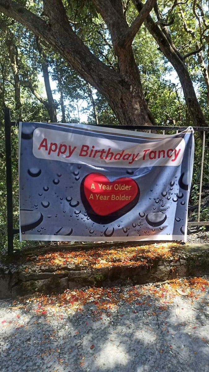 tomar_pee's tweet photo. HPU गर्ल्स हॉस्टल के नजदीक अनोखे तरीके से 'Tancy' को Happy'birthday:

लगे खूबसूरत पोस्टर: 

#HPUShimla #himachalpradesh #tancy #HPU2023 #shimla #happybirthday https://t.co/mT2Baat8ct
