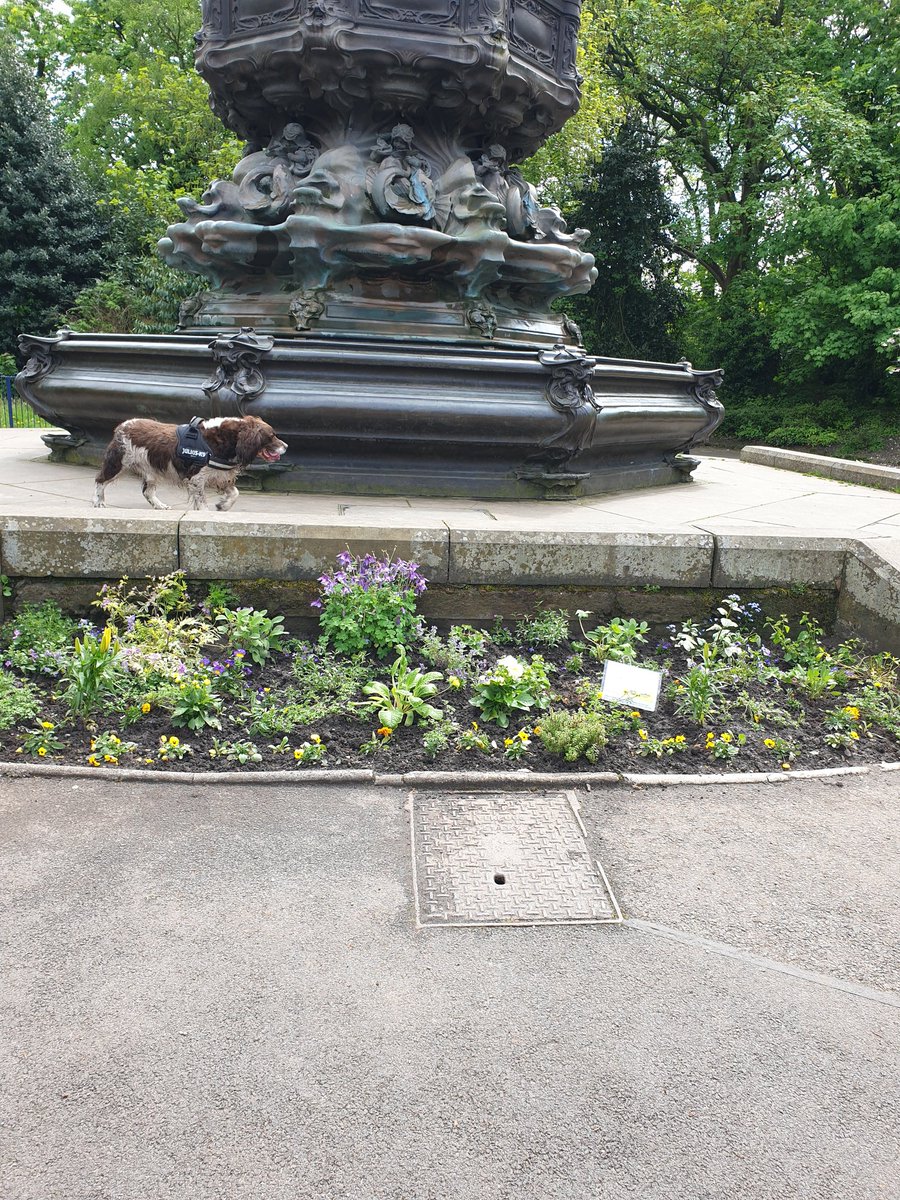 JoGibsonUCLAN's tweet photo. Thank you to @ILoveSeftonPark for the lovely #Eurovision #ErosVision flowerbeds ! https://t.co/BjsYIxDuDi