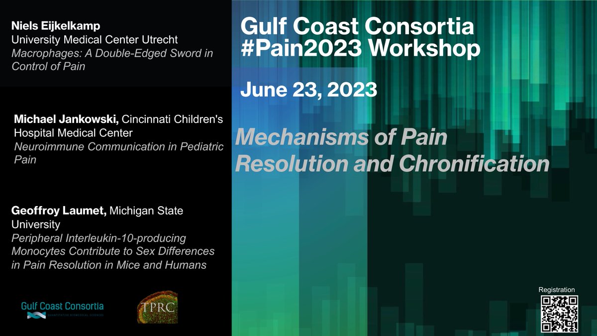 GCC_Research's tweet photo. Invitation: #Pain2023 Workshop, Mechanisms of Pain Resolution and Chronification, June 23, 2023, 1-2 pm (CDT) - https://t.co/8s2hJ3tphN https://t.co/GYnQNmPQEL