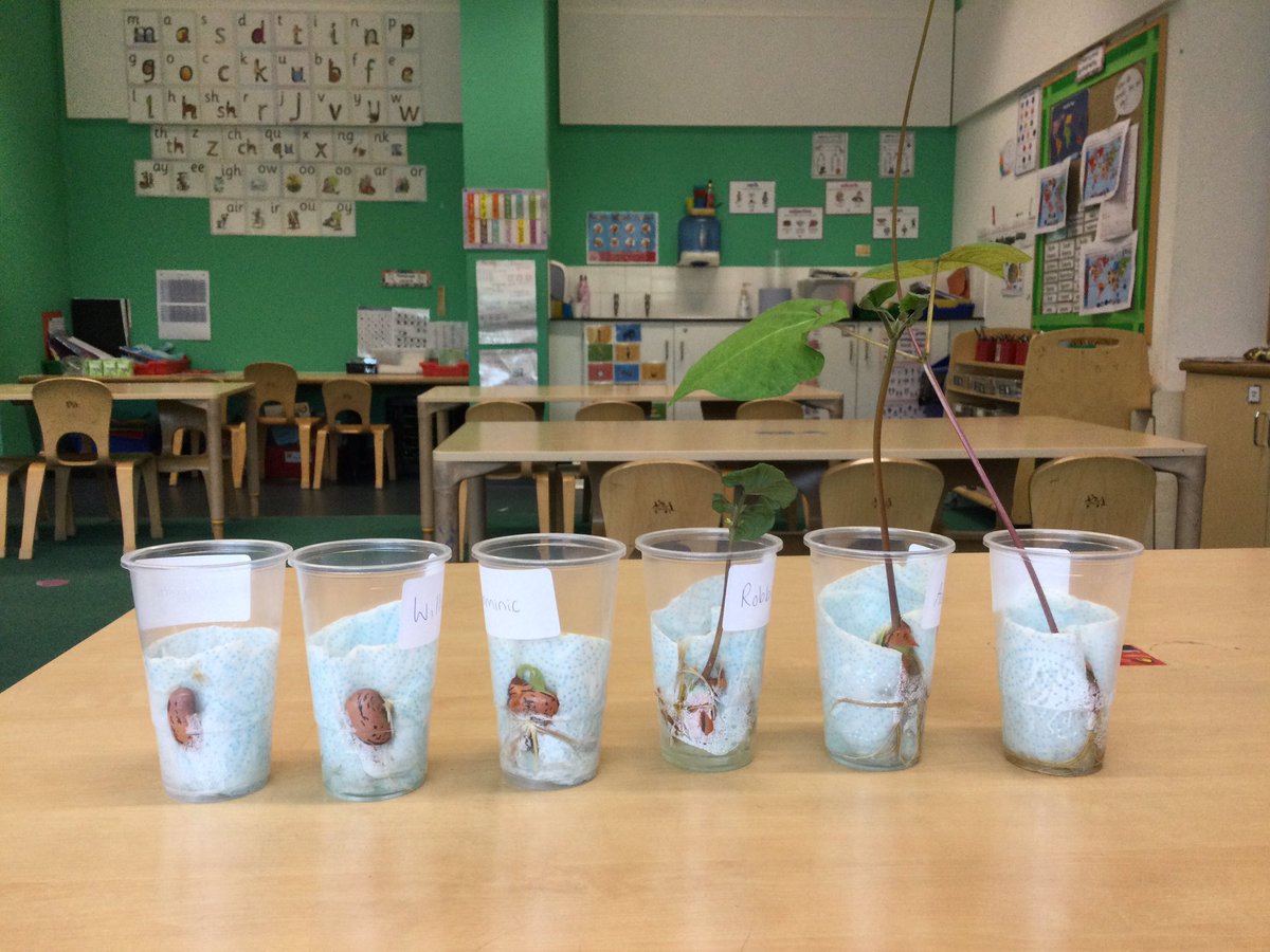 MBPSYear 1 tweet media