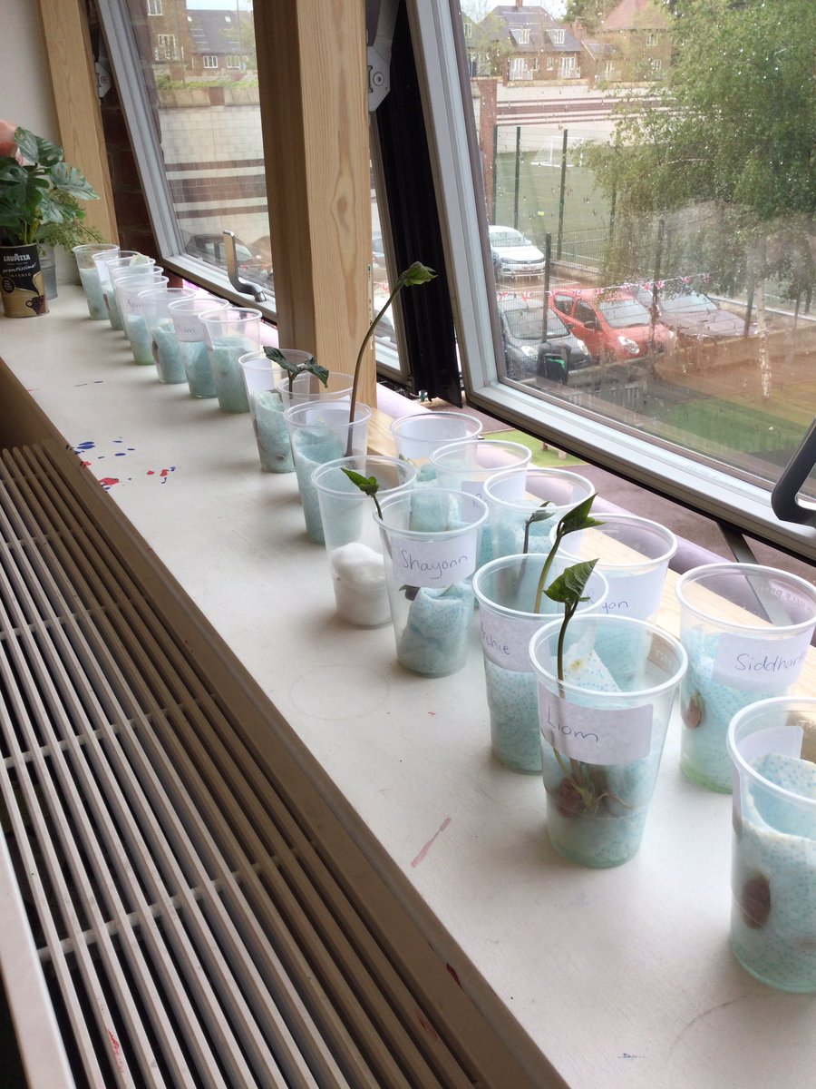 MBPSYear 1 tweet media