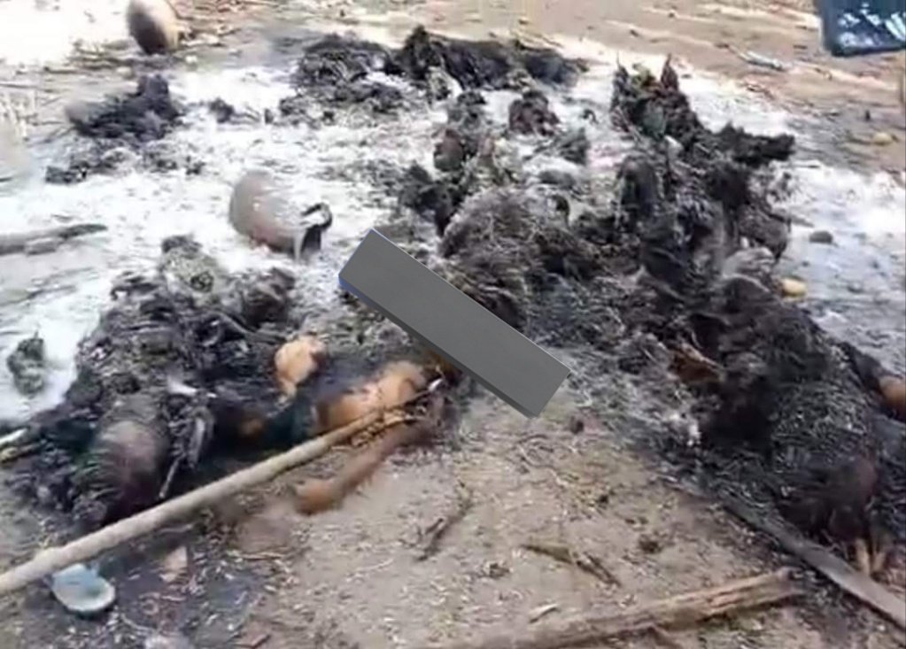 GRAPHIC WARNING: As <a href="/ASEAN/">ASEAN</a> leaders conclude regional meeting by sticking to 5-point plan for #Myanmar #coup crisis, <a href="/Khithitofficial/">Khit Thit Media</a> reported #military killed/burned some 20 people including 7 children in Htantabin township in #Bago region #WhatsHappeninglnMyanmar