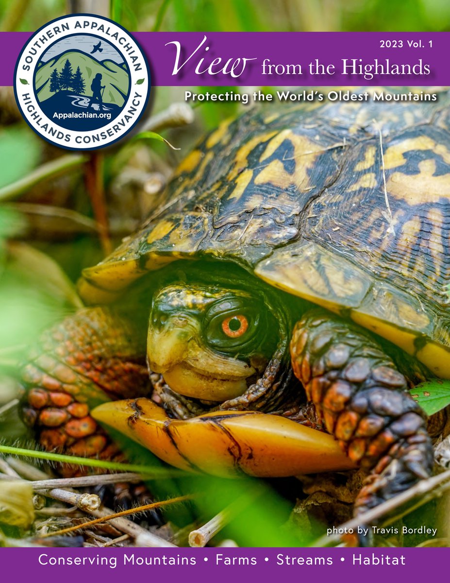 SAHC's tweet image. See what we've been up to! Conservation stories in new View from the Highlands 2023 v.1 issuu.com/sahc/docs/2023… via @issuu