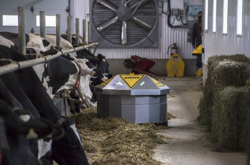 ConestogoAgri's tweet photo. 𝙏𝙝𝙚 𝙍𝘼𝙉𝙂𝙀𝙍 𝙁𝙚𝙚𝙙 𝙥𝙪𝙨𝙝𝙚𝙧 𝙞𝙨 𝙩𝙝𝙚 𝙢𝙤𝙨𝙩 𝙚𝙛𝙛𝙞𝙘𝙞𝙚𝙣𝙩, 𝙩𝙝𝙚 𝙛𝙖𝙨𝙩𝙚𝙨𝙩 &amp; 𝙩𝙝𝙚 𝙢𝙤𝙨𝙩 𝙧𝙚𝙡𝙞𝙖𝙗𝙡𝙚 𝙤𝙣 𝙩𝙝𝙚 𝙢𝙖𝙧𝙠𝙚𝙩. This Rovibec self-guided feed pusher robot replaces the ration automatically multiple times a day! 519-638-3022 https://t.co/cawootZ1fB