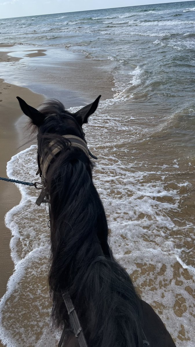 بحر 🌊 (@butterflless) on Twitter photo 