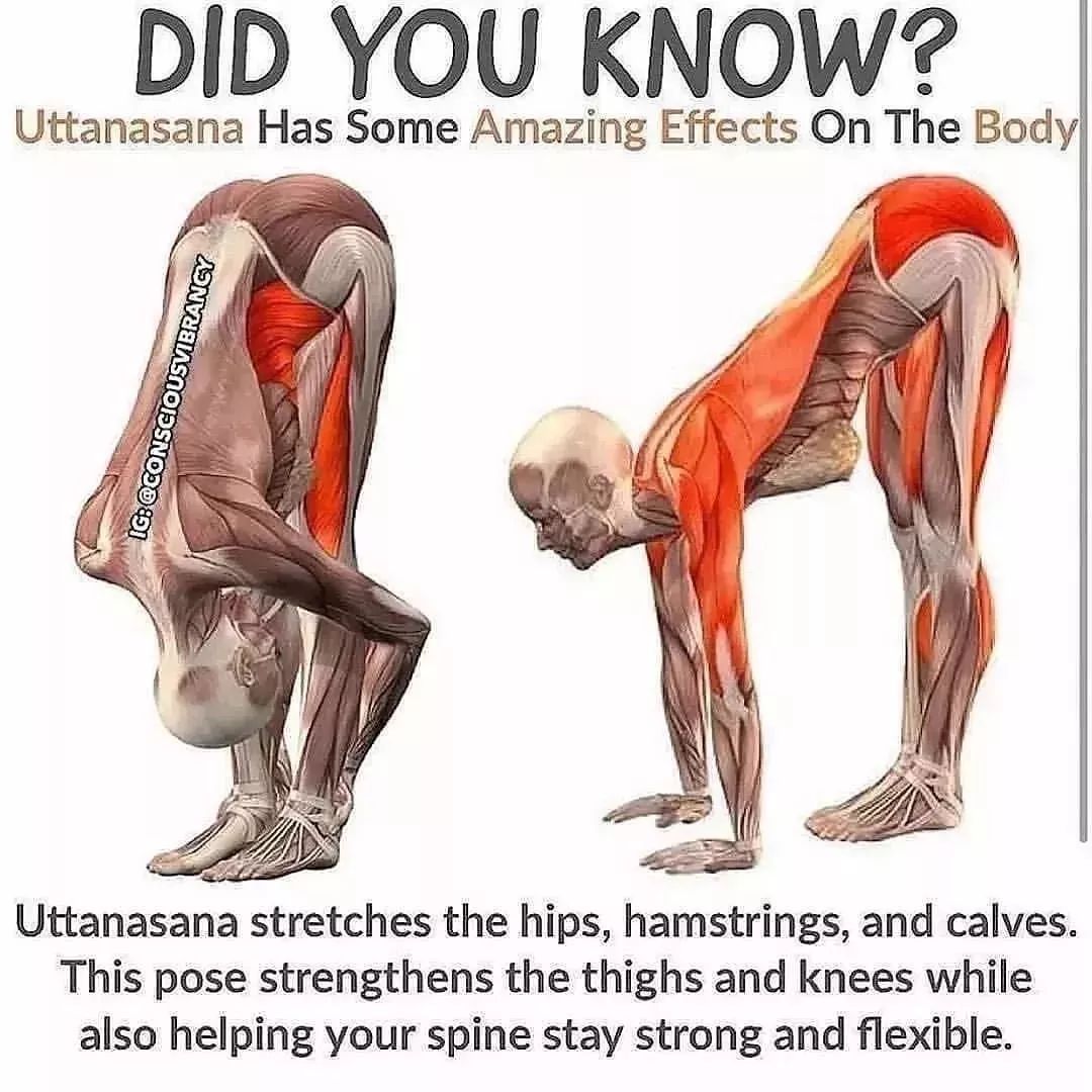 The_Life_Pad's tweet photo. Do You Want To Correct Your Posture Once And For All Do this...

01 https://t.co/Dg58iAFFrC