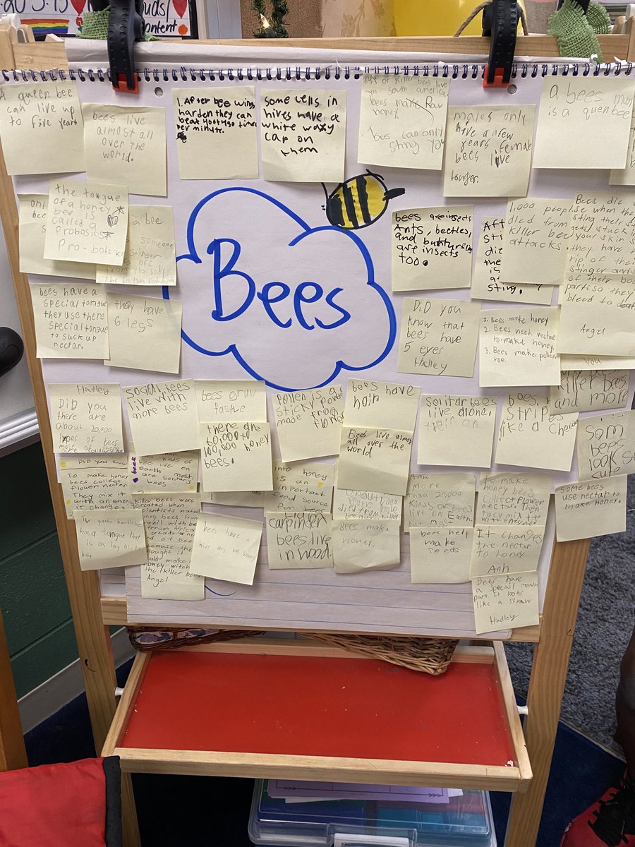 Sizemore2nd's tweet photo. After a great concern about carpenter bees on the playground, we decided to do a little research… Look at all the great facts we discovered about bees!!
#WEShineBright https://t.co/fp8RjeU5iI