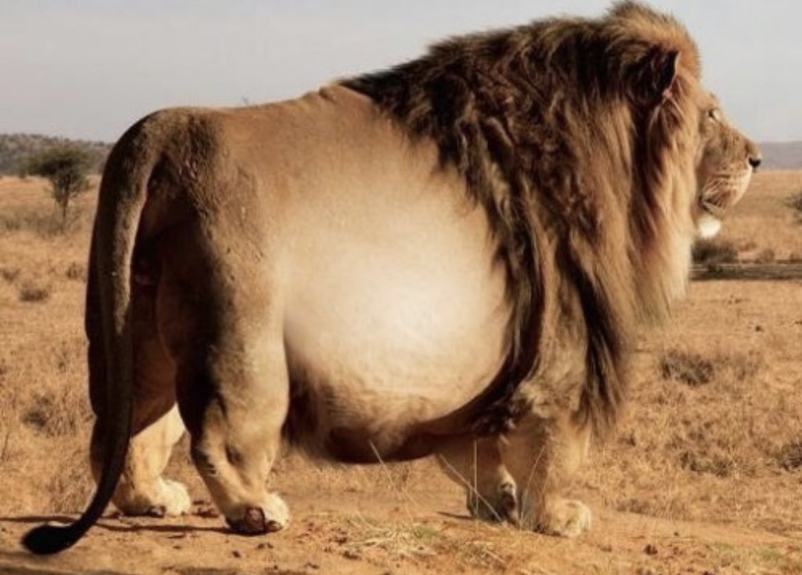 astronomicallydownbad tweet media