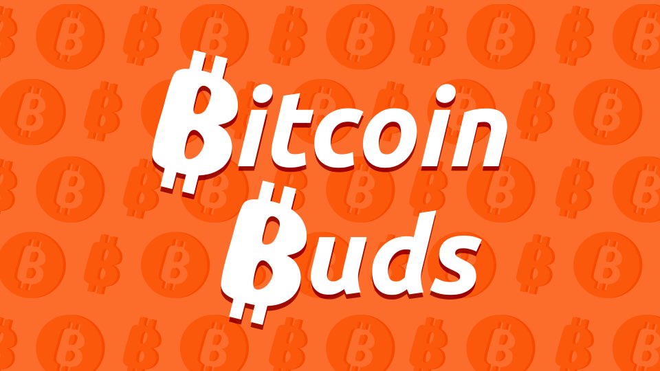 ₿itcoin ₿uds tweet media