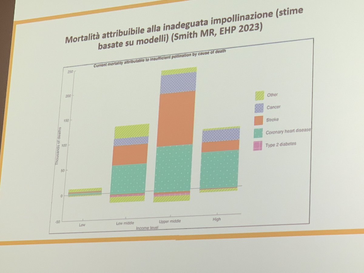 Livia Costa tweet media