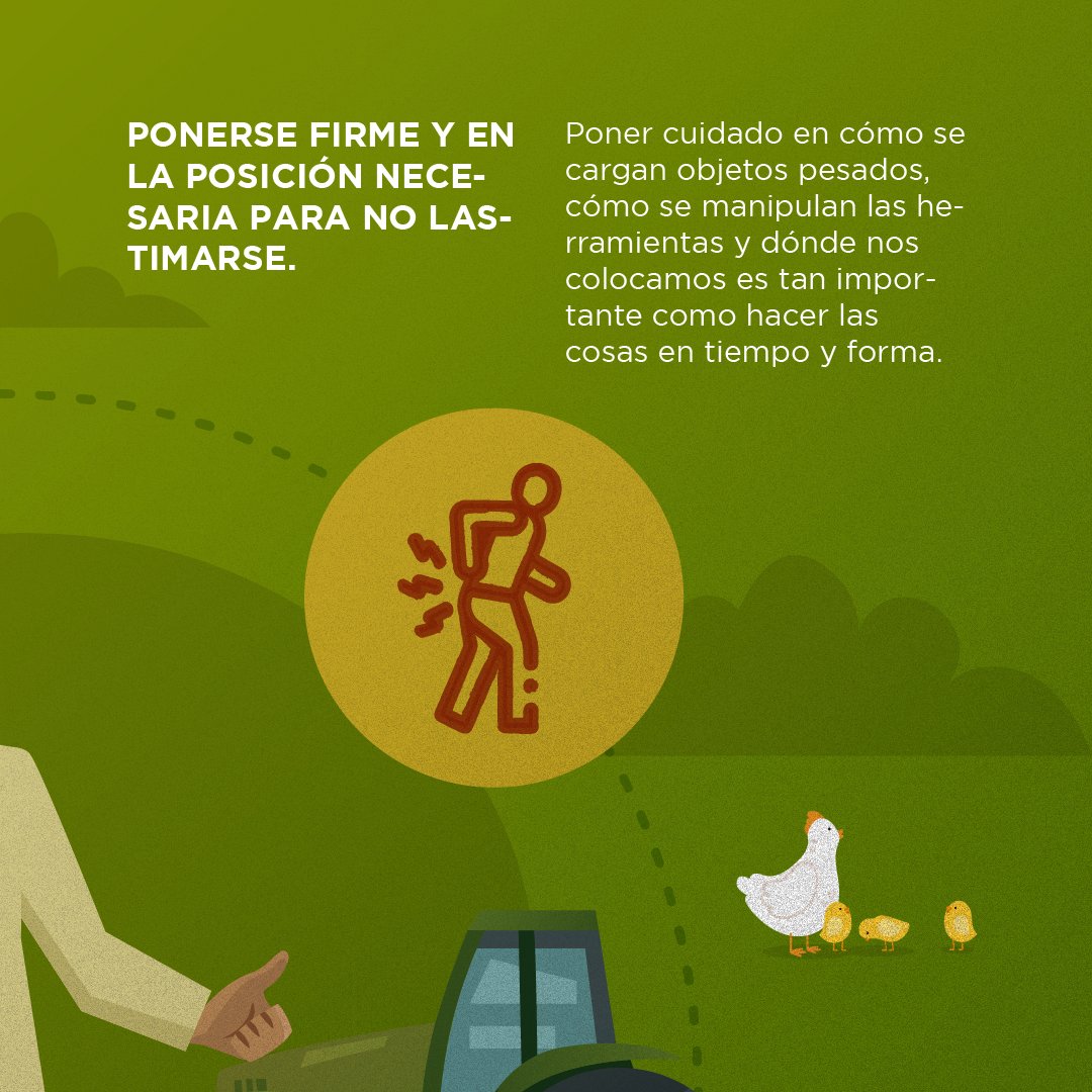 mde_mexico's tweet photo. Estos materiales describen las medidas de mitigación para reducir riesgos y accidentes en los proyectos productivos que apoya el MDE, contribuyendo así al cumplimiento de las salvaguardas sociales del Proyecto. https://t.co/4o4bPFIkpv