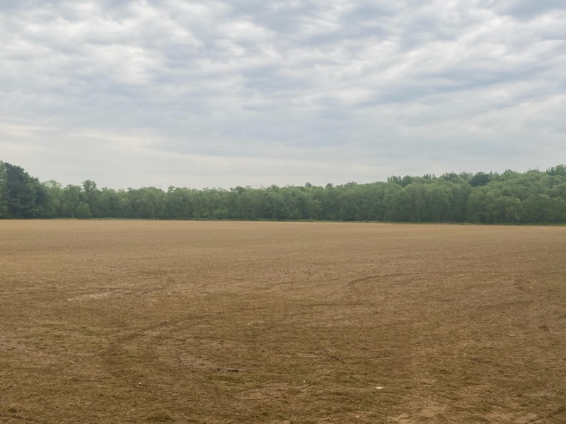 Tri-Turf Sod tweet media