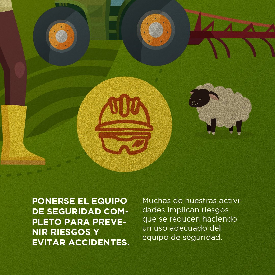 mde_mexico's tweet photo. Si quieres conocer más sobre las medidas de seguridad del MDE, te invitamos a conocer nuestros folletos de prácticas seguras en: https://t.co/AgT2hDC63S
¡Pónte atento, pónte firme, pónte el equipo!
@RainforestAllianceMX @BancoMundialMexico
#ComunidadesLocales #SalvaguardasMDE https://t.co/1jgypOKaxS