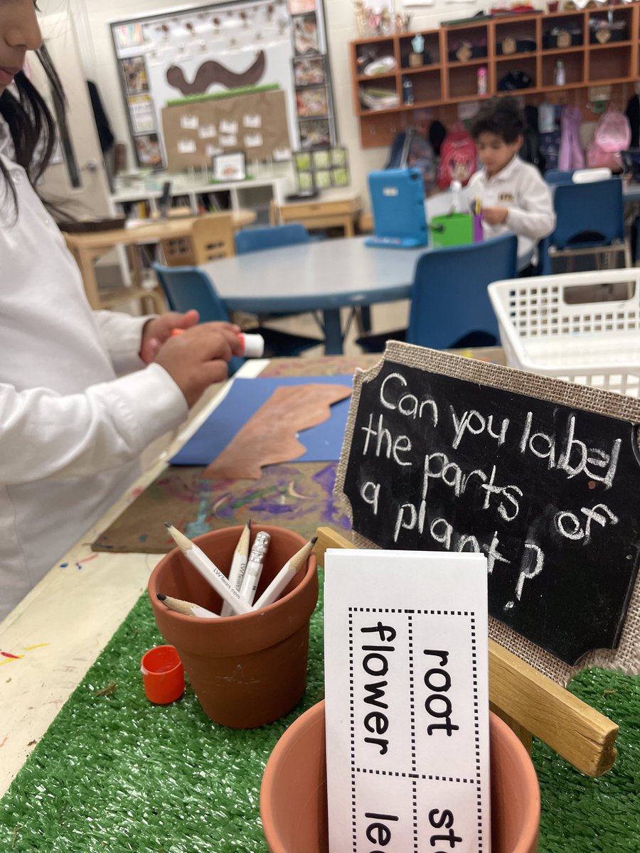 HTS_Kindies's tweet photo. Ask us about naming the parts of a plant at our provocation table.🪴🔎📝 #springinquiry #plants #BetterTogether❤️ @ConnieRanieri @HTSRichmondHill https://t.co/n6jHWsAOX8