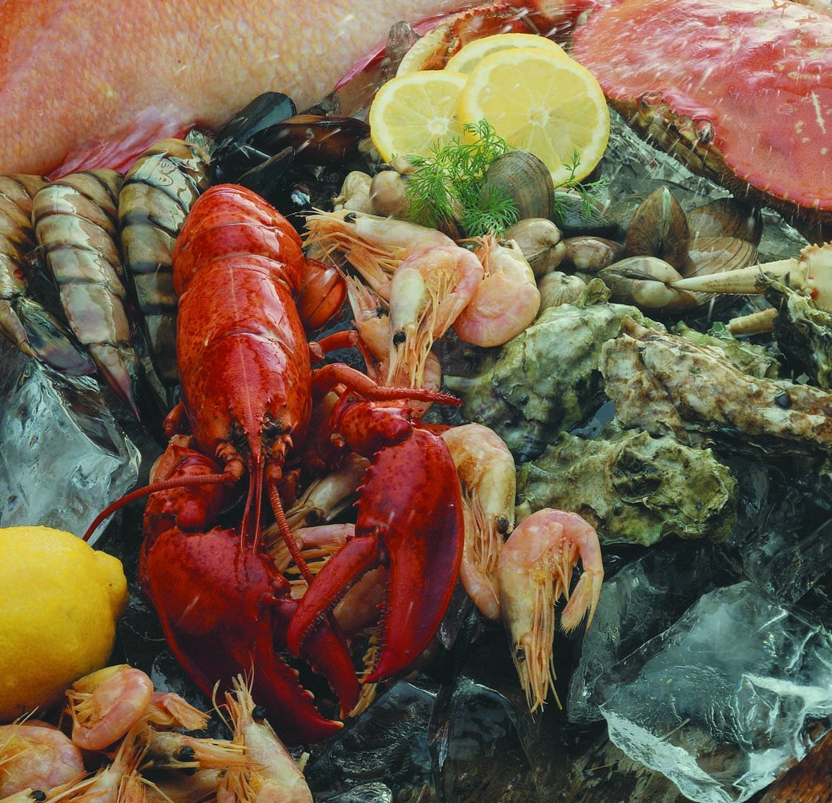 Why Buy British Seafood?⬇️

Buying British will help to reinvigorate coastal communities across the UK.

Let's make sure we all buy British to give these towns the economic support they deserve.

Boosting businesses, jobs and communities.

Love British Seafood!🇬🇧