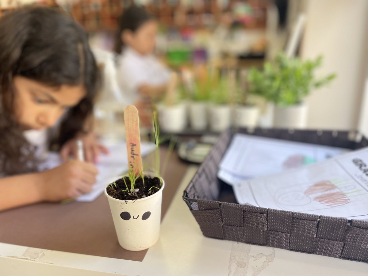 HTS_Kindies's tweet photo. Ask us about documenting our grass heads that we’re planted on #StudentLifeDay. 🔎📝🪴☀️#plantinquiry #spring #BetterTogether❤️ @BrianCsinos #ConnieRanieri @HTSRichmondHill https://t.co/upup2wMeHO