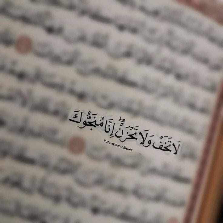 بشاره ربانيه .. اكتب الحمد لله