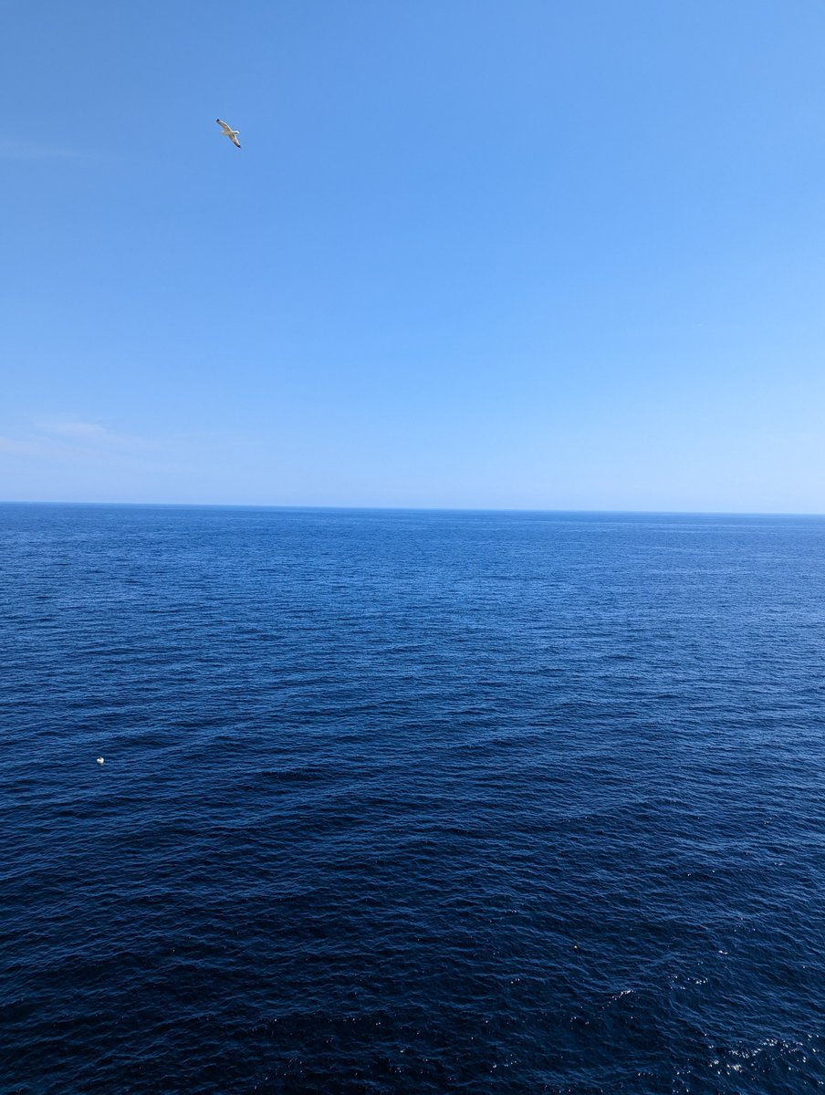 ddanailova82's tweet photo. Summer holidays, Côte d'Azur https://t.co/emLVvz5j5x