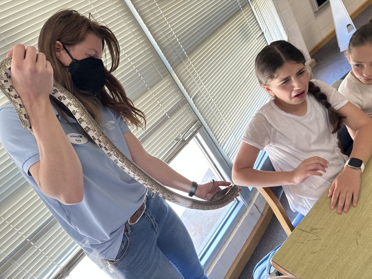 hickoryschools's tweet photo. 🐢🐍🦎 Huge thanks to @CSCscience for joining our Jenkins Elementary GEMS Club yesterday! Our students had a blast learning and interacting with turtles, snakes &amp; lizards. What an amazing hands-on experience! #STEMeducation #CommunityPartnership #HPSMovingForwardTogether https://t.co/c3w0kavZ2p