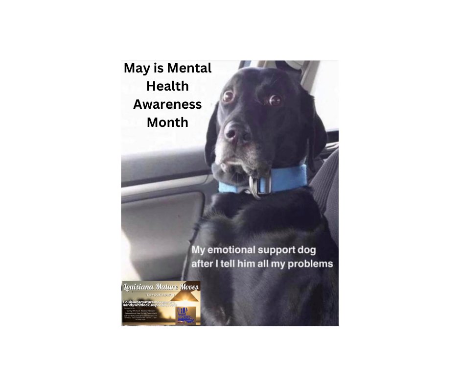 123REALTYTEAM's tweet image. Don't forget Seniors get lonely too and need someone to talk with and Pets are also great friends
Lifeline Chat - Text 988
#nelahometeam #louisianamaturemoves #liveoola
#reachout
