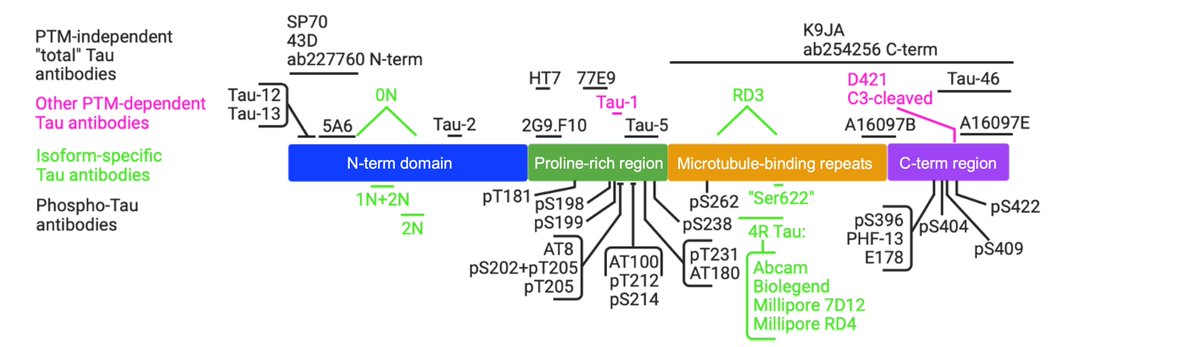 Irina Stefana tweet media