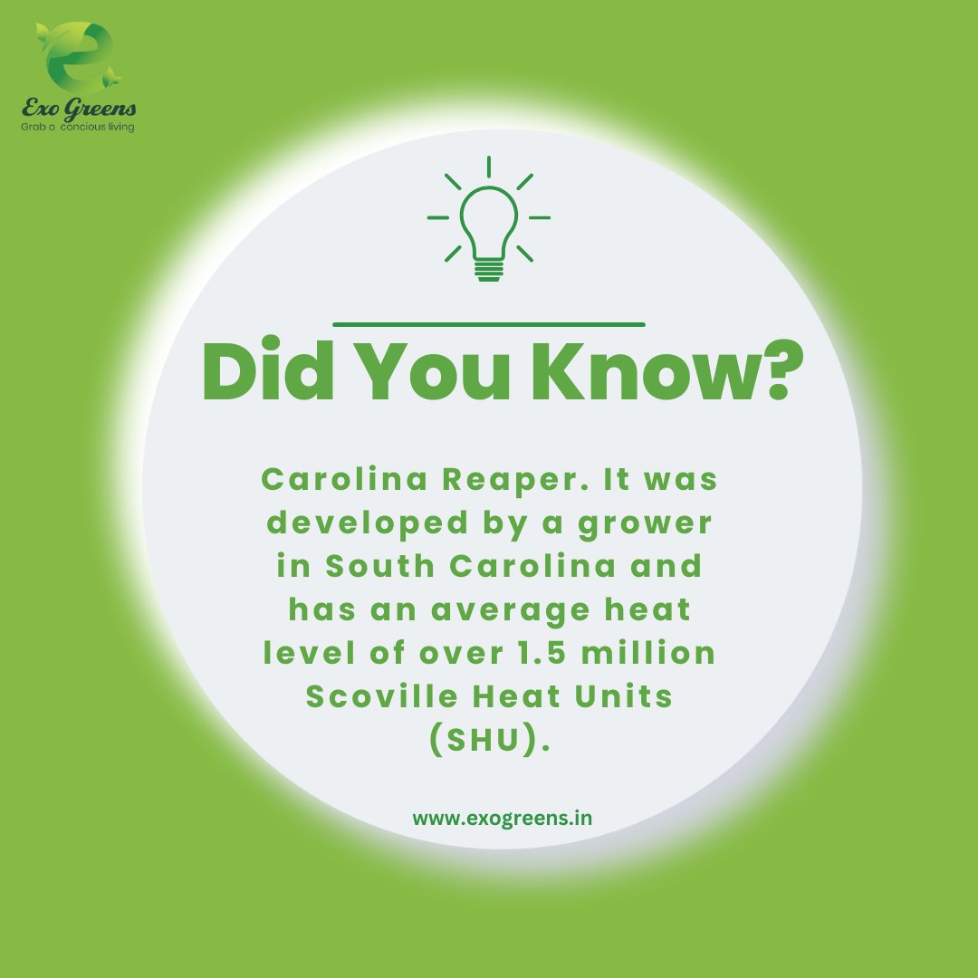 Did you know!

#hydroponics #growyourown #cannabis #cannabiscommunity #gardening #urbanfarming #hydroponicsystem #hydroponic #hidroponik #greenhouse