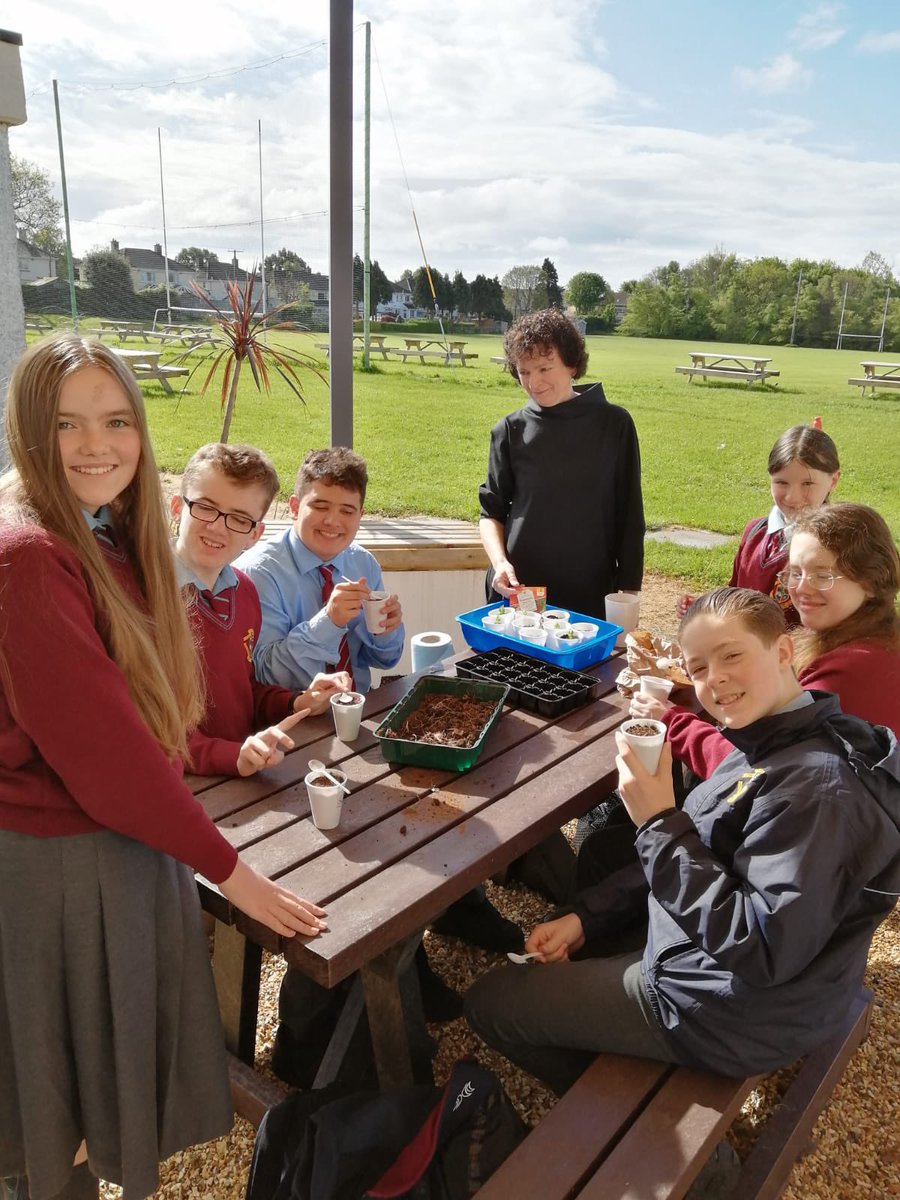 First years planting seeds and growing peas with Ms O’Kane