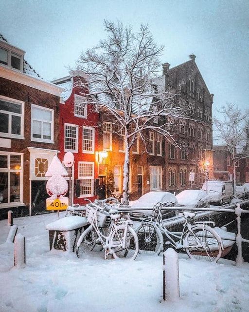 Haarlem, Netherlands🇳🇱🏘️🌳🪔❄️