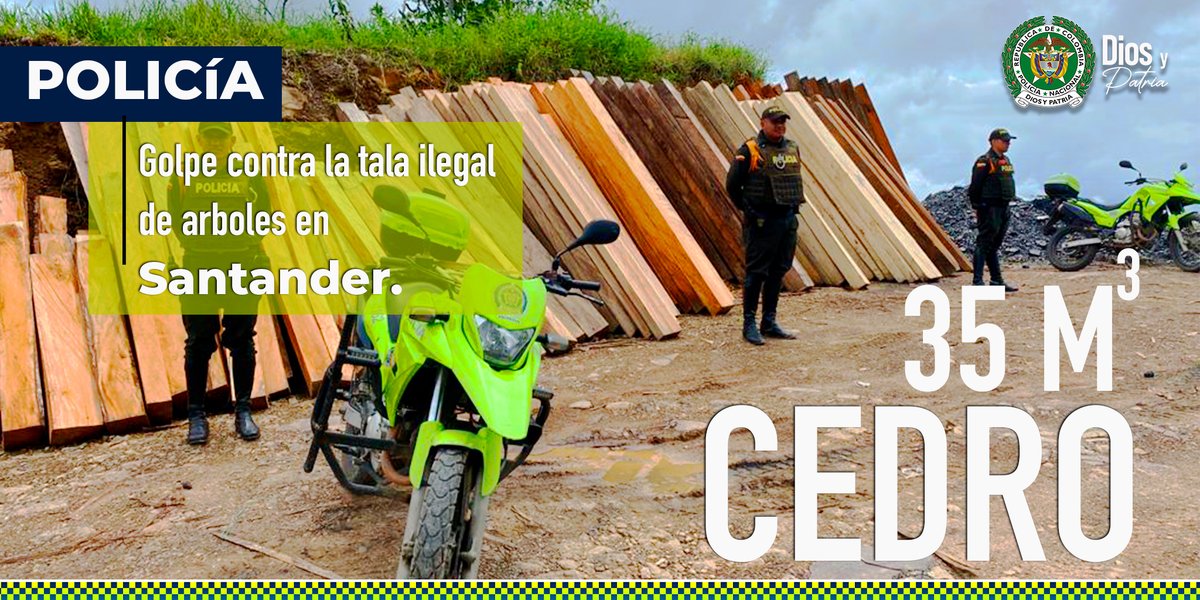 En #Velez.
Personal de🐎 @CarabinerosCol, en zona  rural de la vereda 🚩Santa Rosa, logran la incautación 35 metros cúbicos de madera clase 🪵cedro, esta tendría un valor comercial  de $28.000.000
#ProteccionAmbiental 
#DiosYPatria