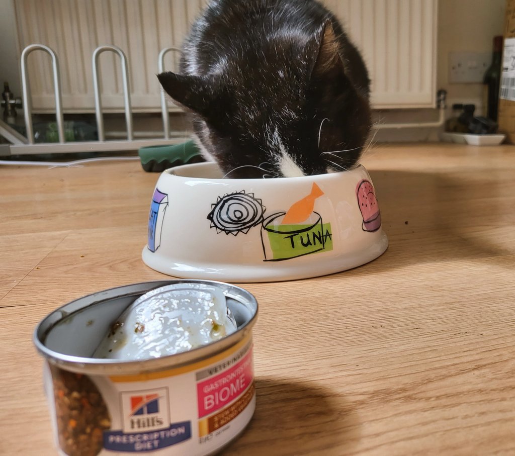 Purrscription wet food!
Whomst said all medicine has to be bad?
