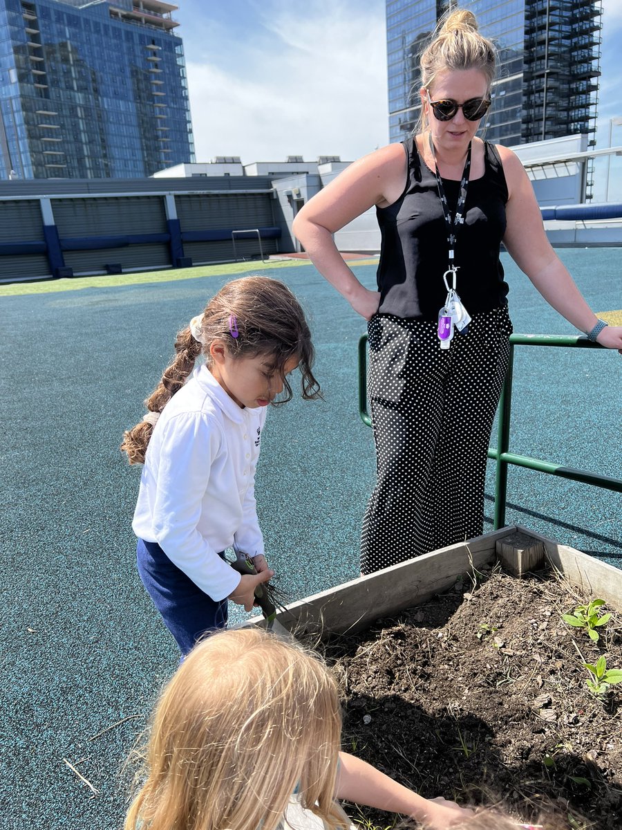 BISCLincolnPark's tweet photo. Outdoor learning is abloom!🌻Year 2 spent class time on the roof planting seeds to attract bees! All part of the ‘Save the Bees’ @The_IPC Topic! 🐝 #savethebeesplease 

#globaleducation #chicagoparent #chicagoparents #BISCLincolnPark #BISCLP @NAEducation https://t.co/CbHr2xv0FJ