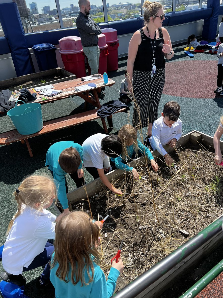 BISCLincolnPark's tweet photo. Outdoor learning is abloom!🌻Year 2 spent class time on the roof planting seeds to attract bees! All part of the ‘Save the Bees’ @The_IPC Topic! 🐝 #savethebeesplease 

#globaleducation #chicagoparent #chicagoparents #BISCLincolnPark #BISCLP @NAEducation https://t.co/CbHr2xv0FJ