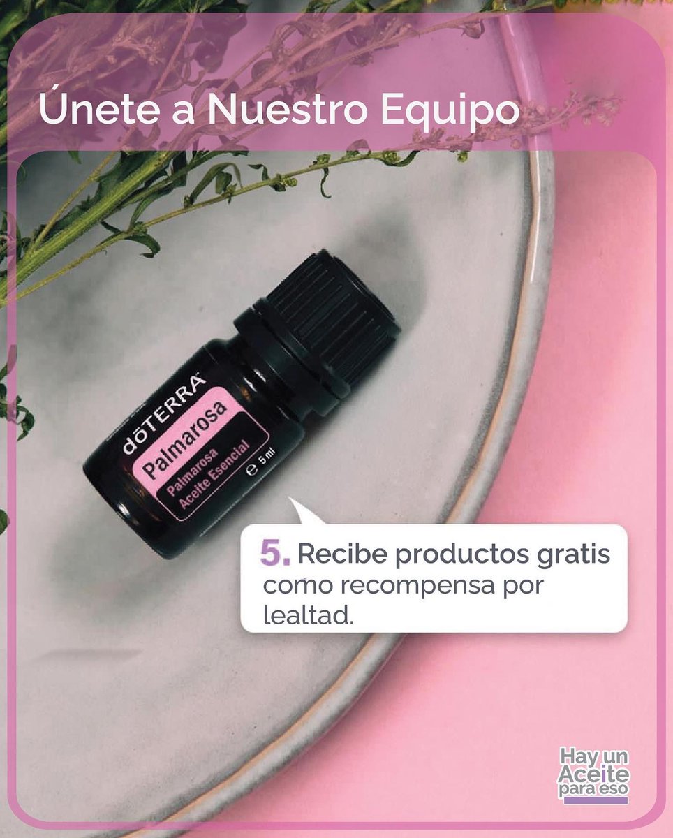 essentialpanama tweet media