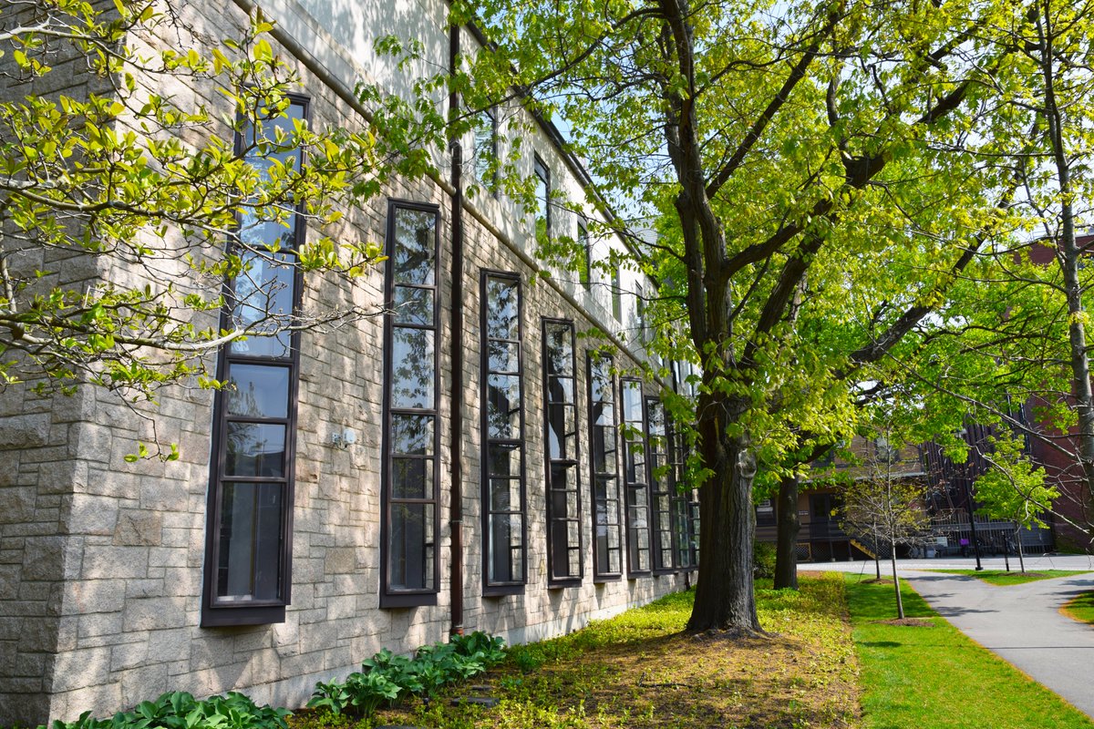 HDS Library tweet media