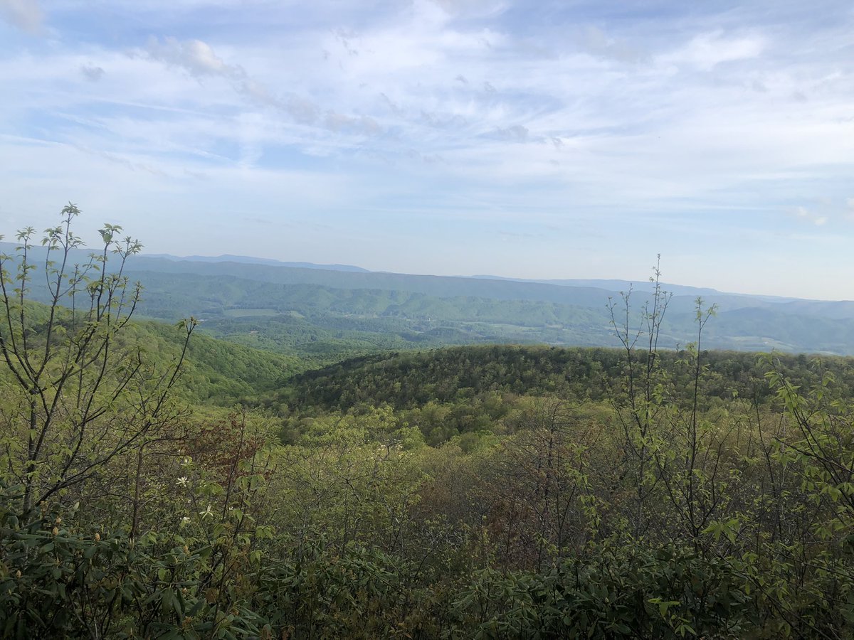 medwards61's tweet photo. Just had a lovely hike up to Glade Mt. this morning. The rhododendron are just beginning to bloom at that elevation. https://t.co/tQbc3sJMy0