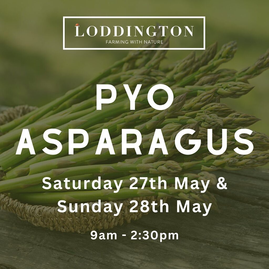 Dates are confirmed! Head over to the link in our bio to book your tickets and read all the details 👍

#pyoasparagus #asparagus #asparagusseason #pyo #britishasparagus #kentproduce #kentfood #kentfarm #boughtonmonchelsea #maidstone #kent #linton #cox… instagr.am/p/CsGwASsMfti/