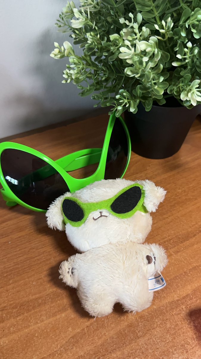 mochidoies's tweet photo. ヽ(´▽`)/ #mailforbee
the alien glasses are here 🥹🫶🏼 it looks so cute on kongjjen thank you again @formymarklee 💫
#mintchocofeedbacks https://t.co/7MlbRmmmmv