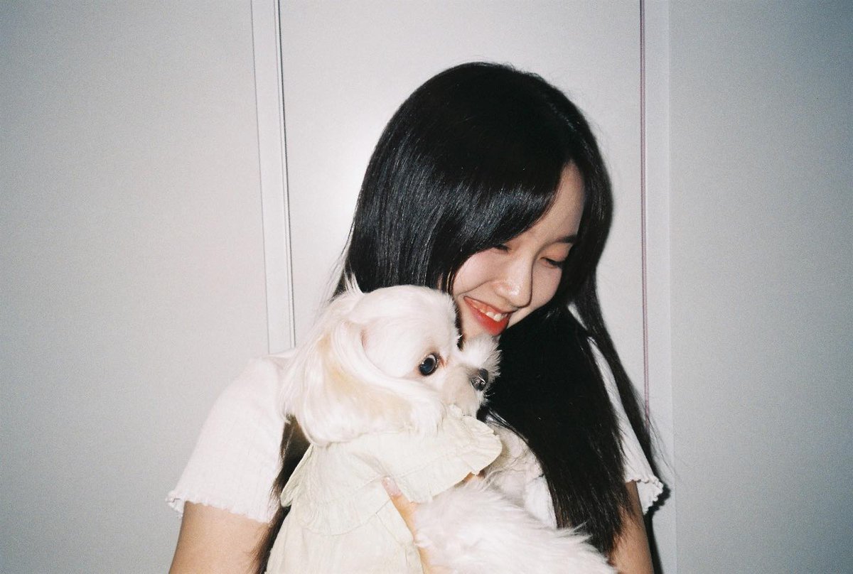 orrery_nim's tweet photo. Gowon Instagram post
"Frightened Princess Dubu•••"
https://t.co/tPMgQqdiQz https://t.co/nbeKTN0bLv