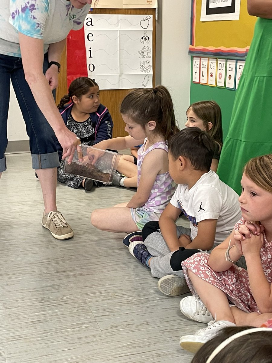 Sarah Tyson tweet media